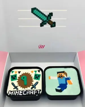 Mine craft ( 2 mini box )
