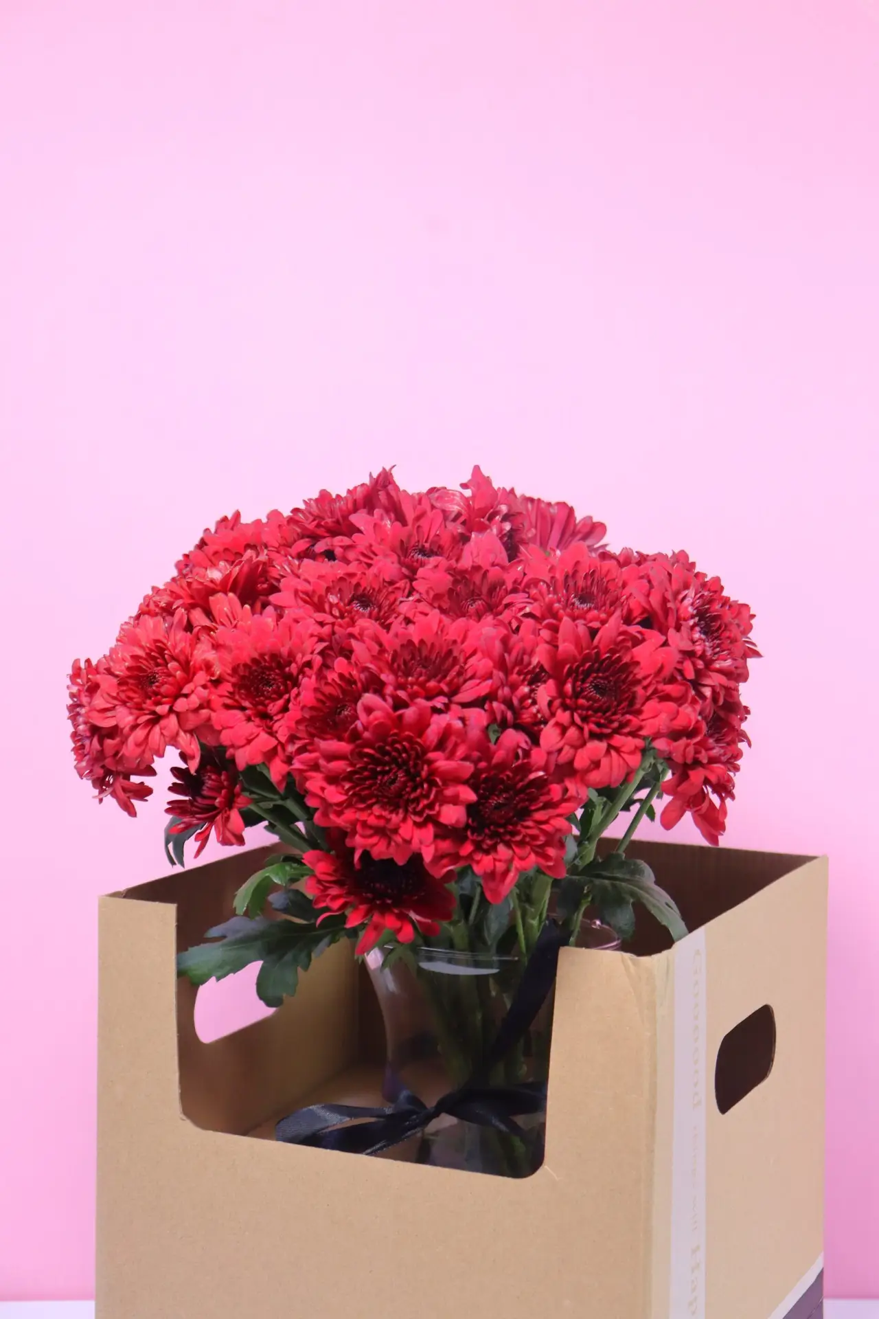 Red Chrysanthemums Flower box
