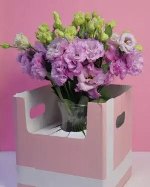 wave light purple