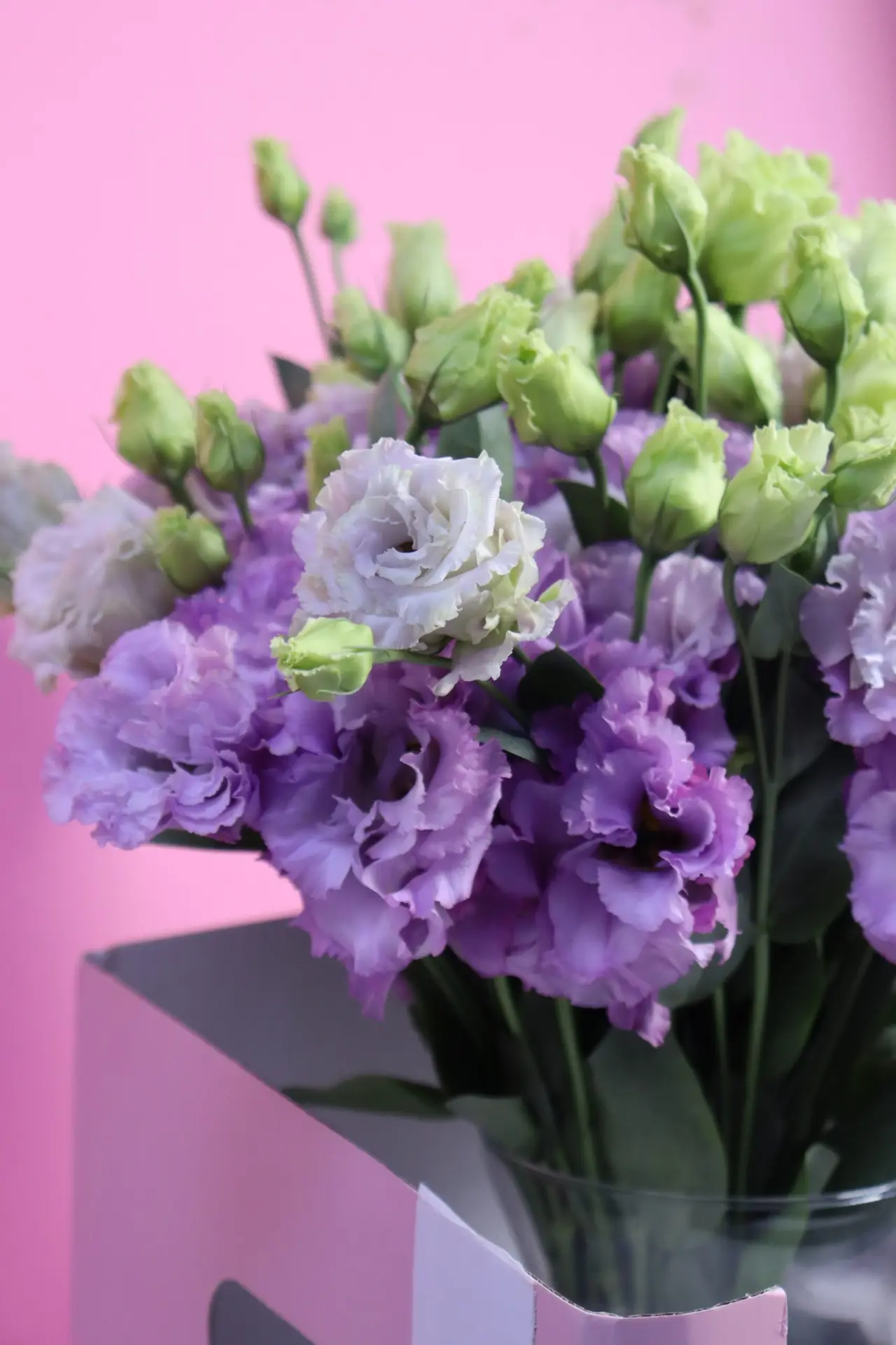 wave light purple