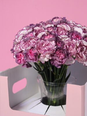 Purple and mustard Carnations