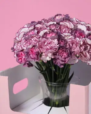 Purple and mustard Carnations