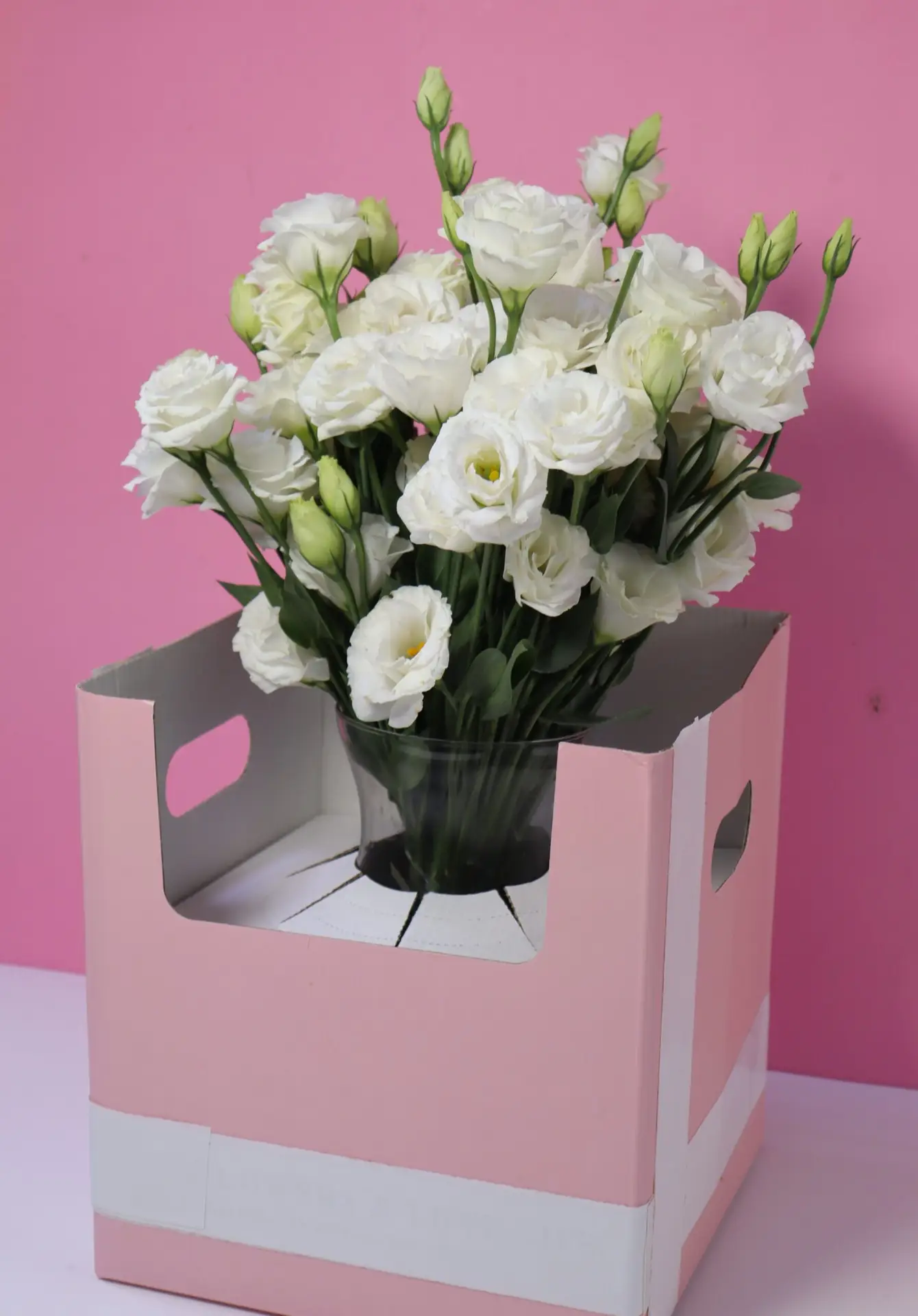Eustoma vase ( white )