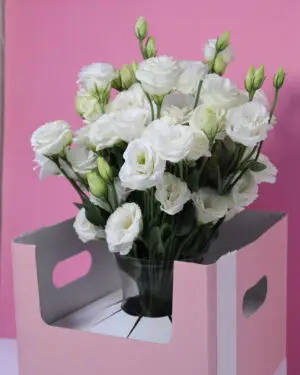 Eustoma vase ( white )