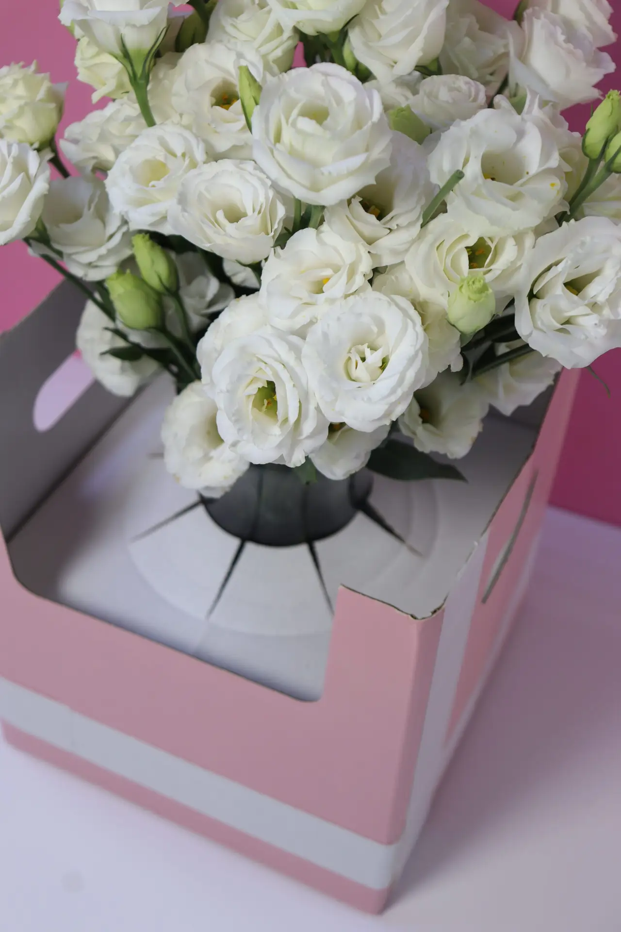 Eustoma vase ( white )