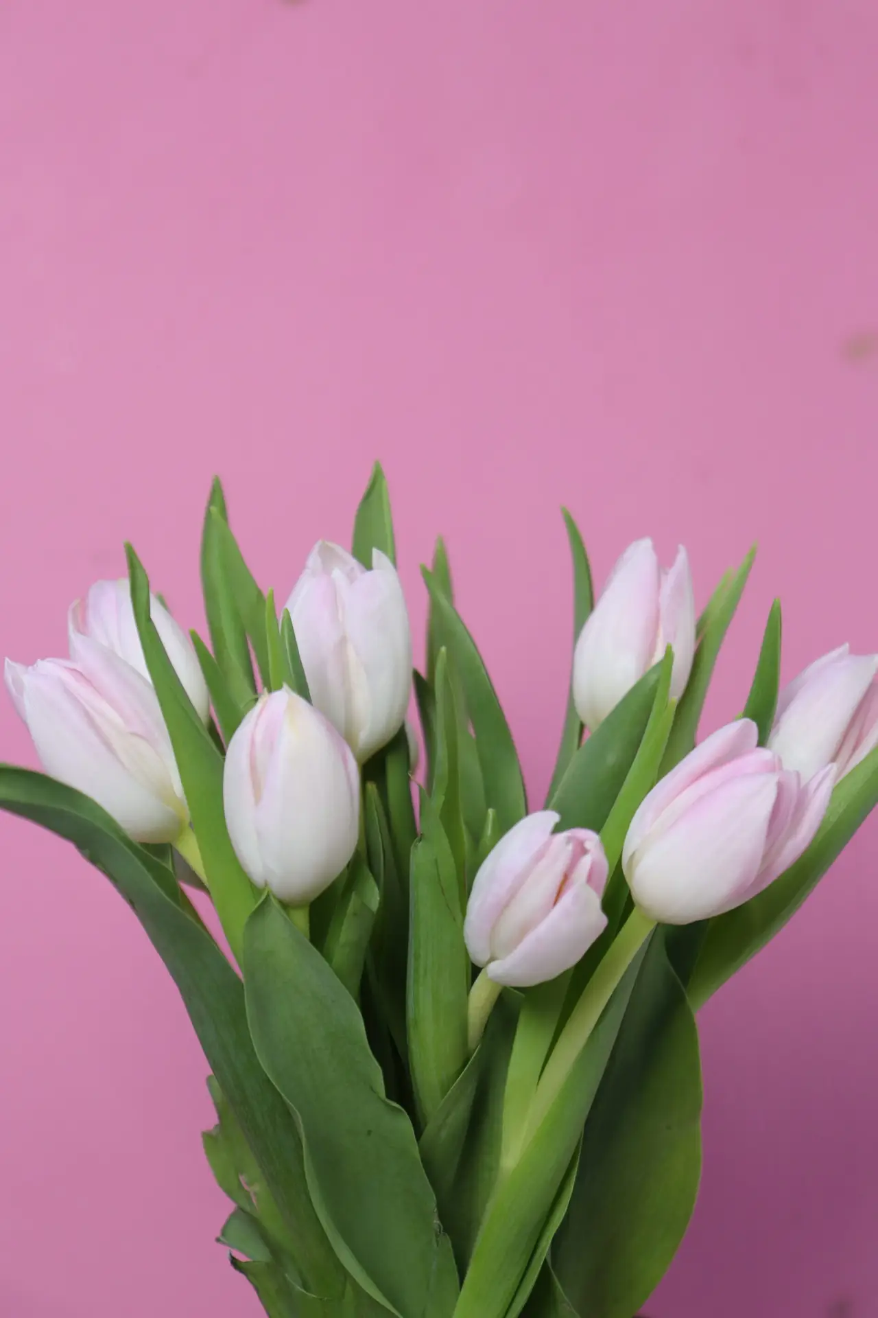 Tulips Ceramic vase